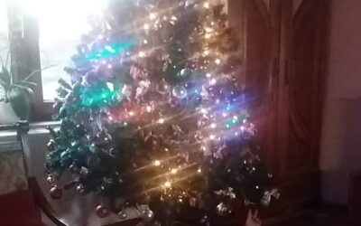 Karácsonyi várakozás