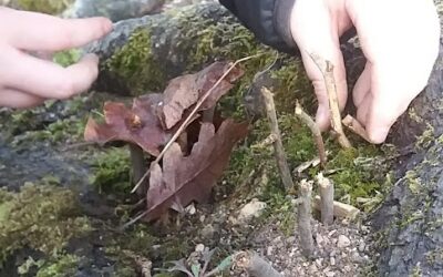 Szt Márton manói (Manófalva)