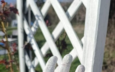 Harcom a fogyasztói társadalom ellen